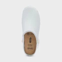 clog evo