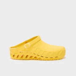 clog evo