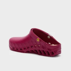 clog evo