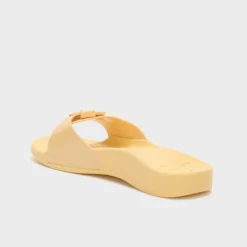 scholl sun
