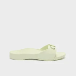 scholl sun