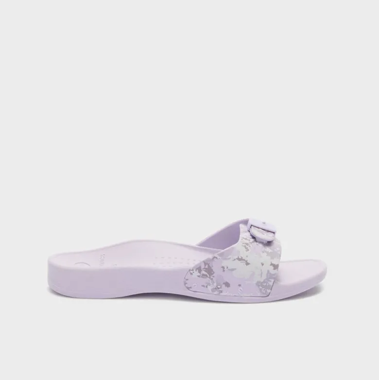 scholl sun